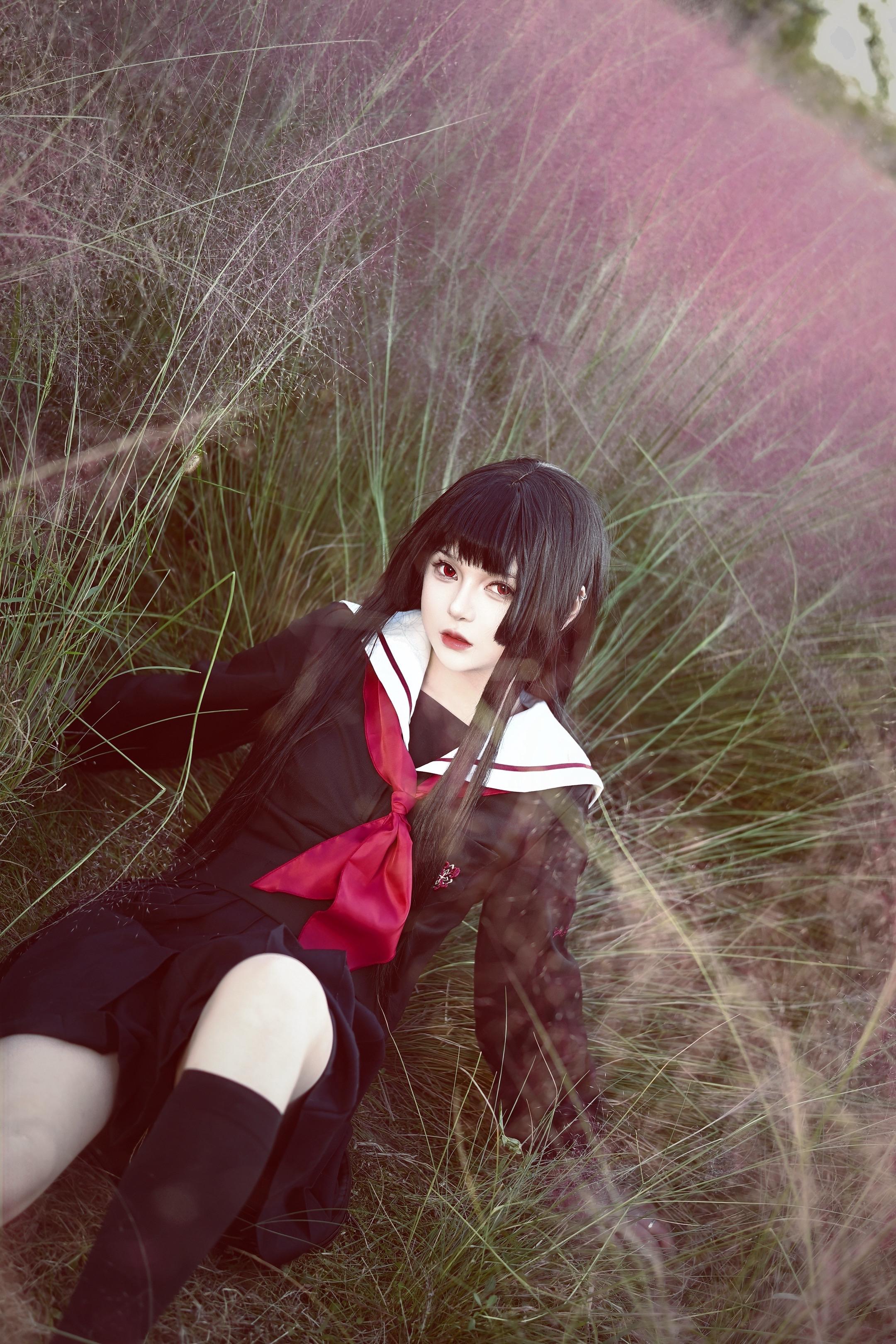 没赶上彼岸花。