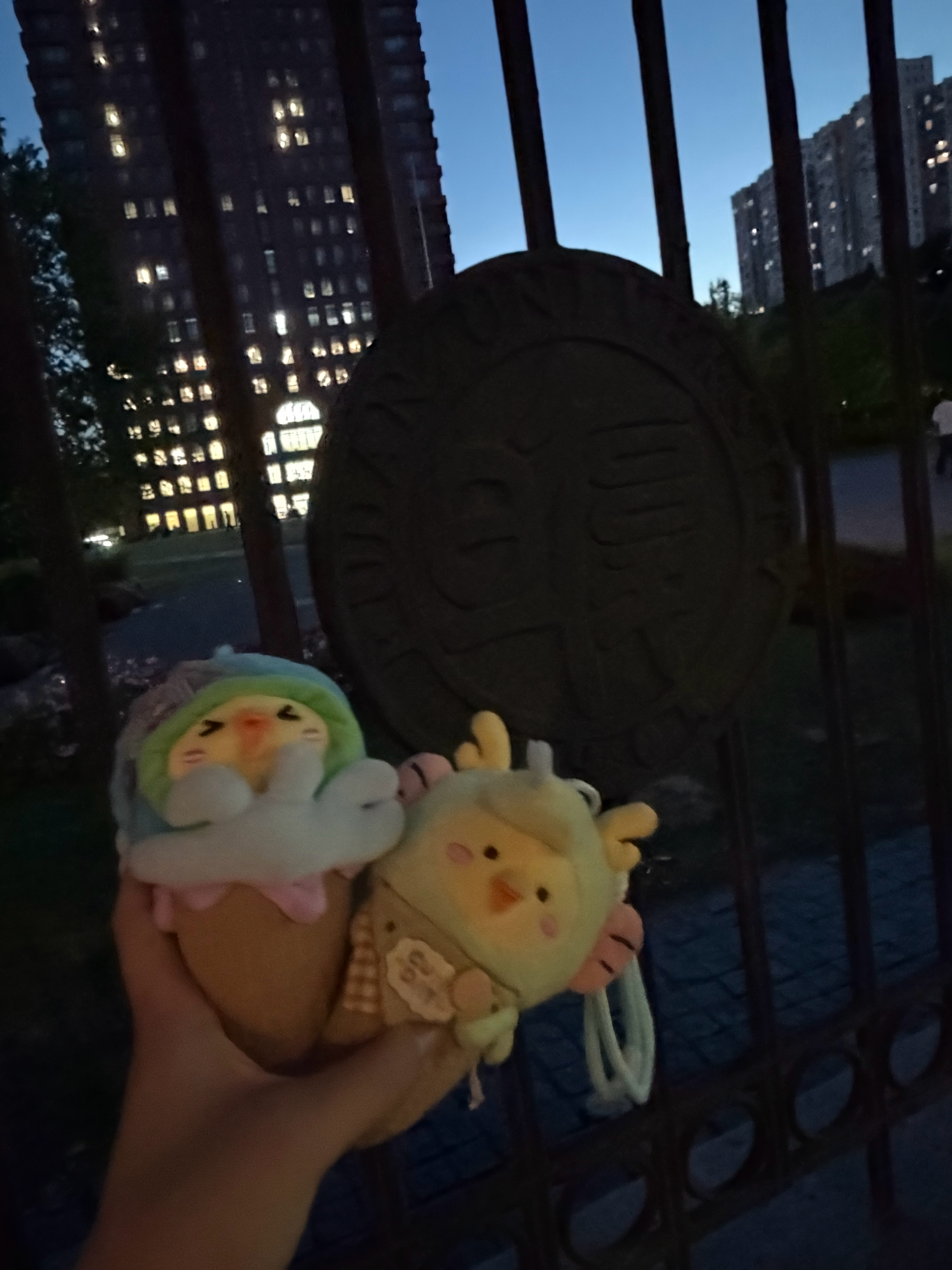 龙宝耶宝决定参加高考 