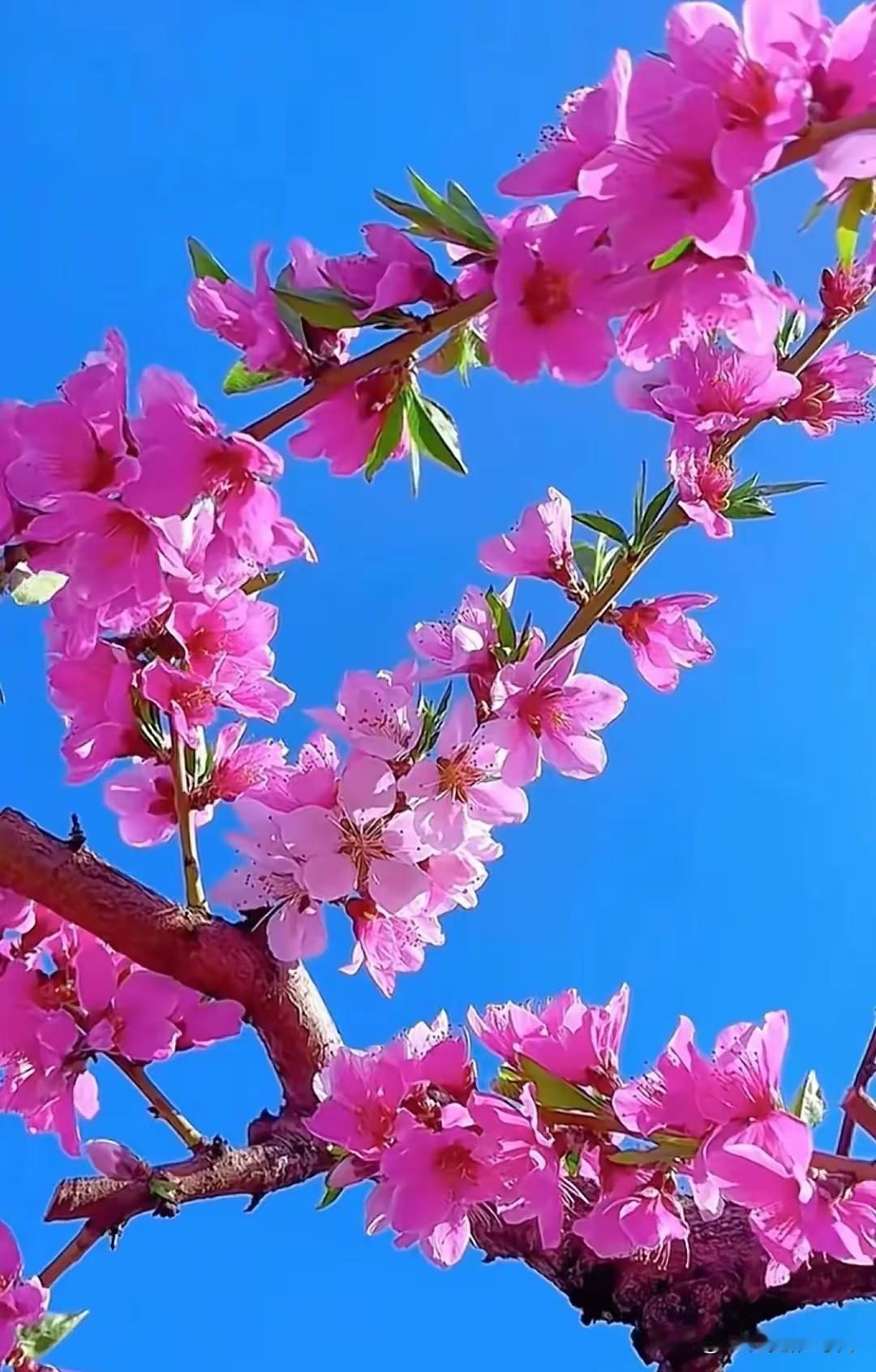 60岁以后，
千万别对这三个人“掏心掏肺”！
记牢了！

第一，别对“势利眼”的