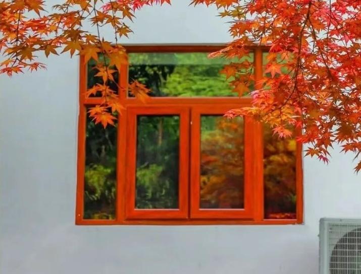 【打开不一样的窗，就会看到不一样的风景；拥有不一样的视野，就会收获不一样的心境】