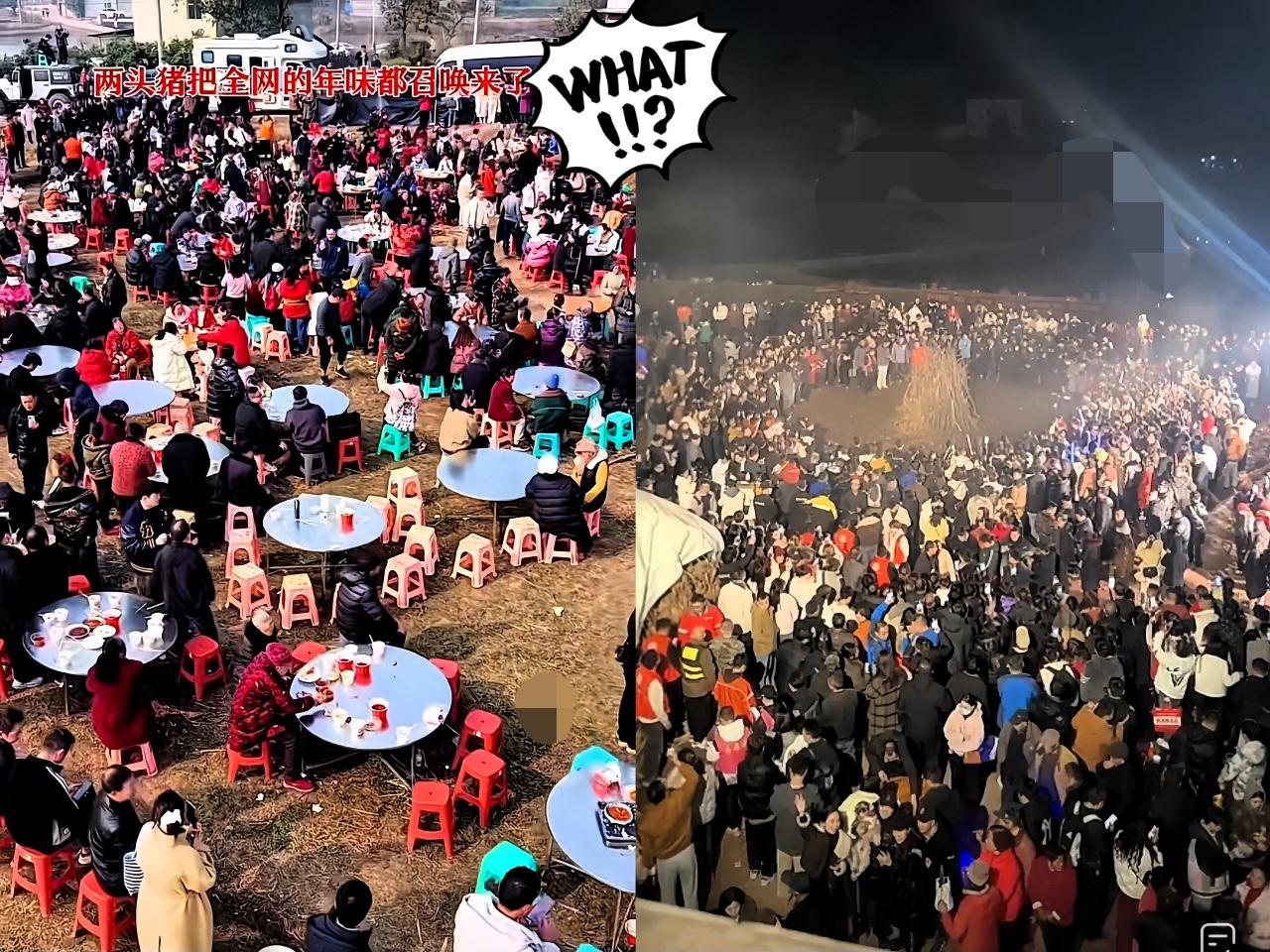 有种不好的预感，

呆呆家这年怕是要“热闹”过头了！

细心的朋友肯定发现，呆呆