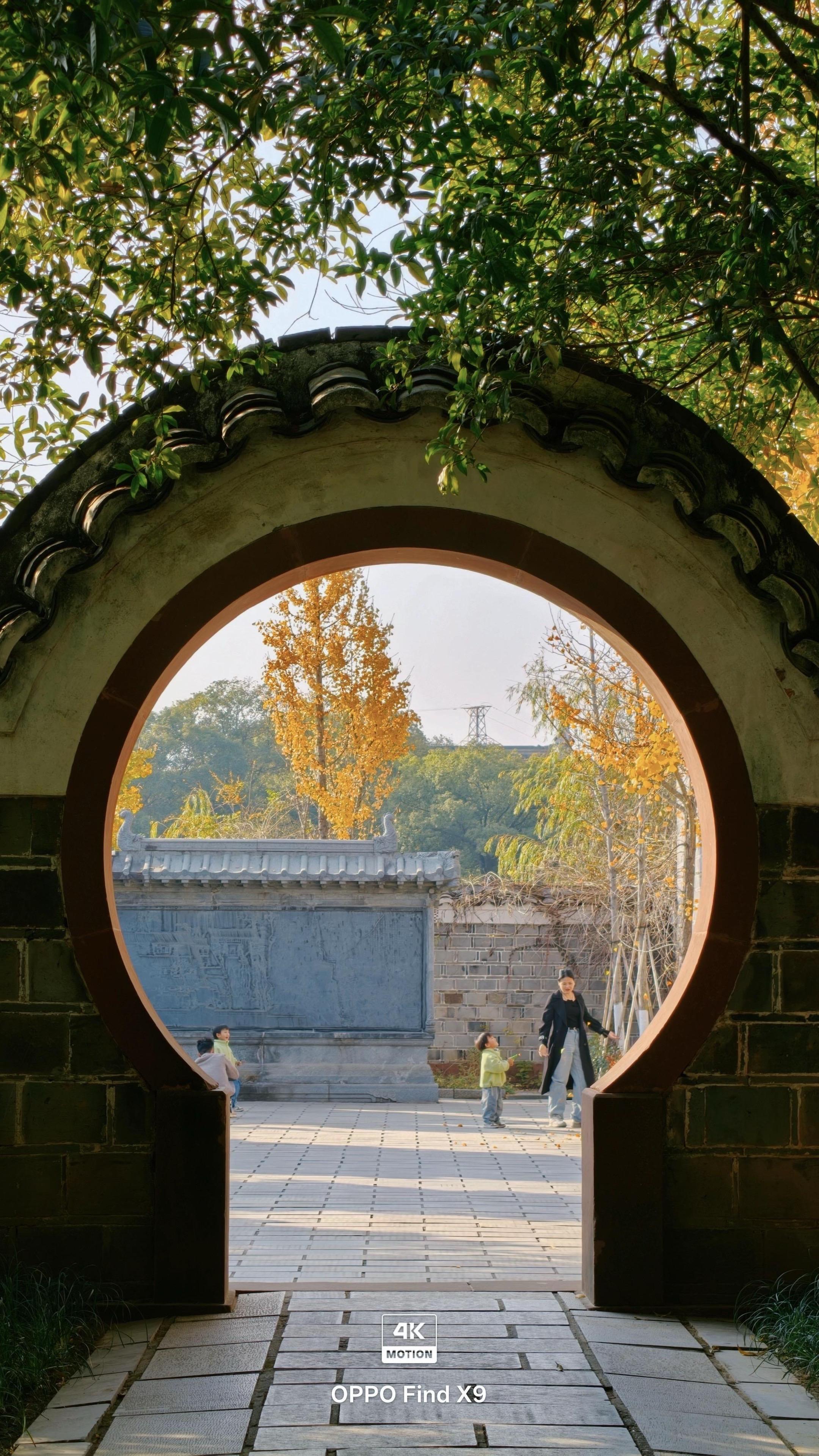 《我把秋天框在门里🍁》如果秋天有形状 那一定是八大山人的门框里 探出...