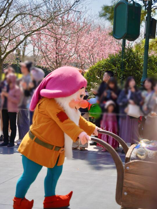 想拍花🌸了