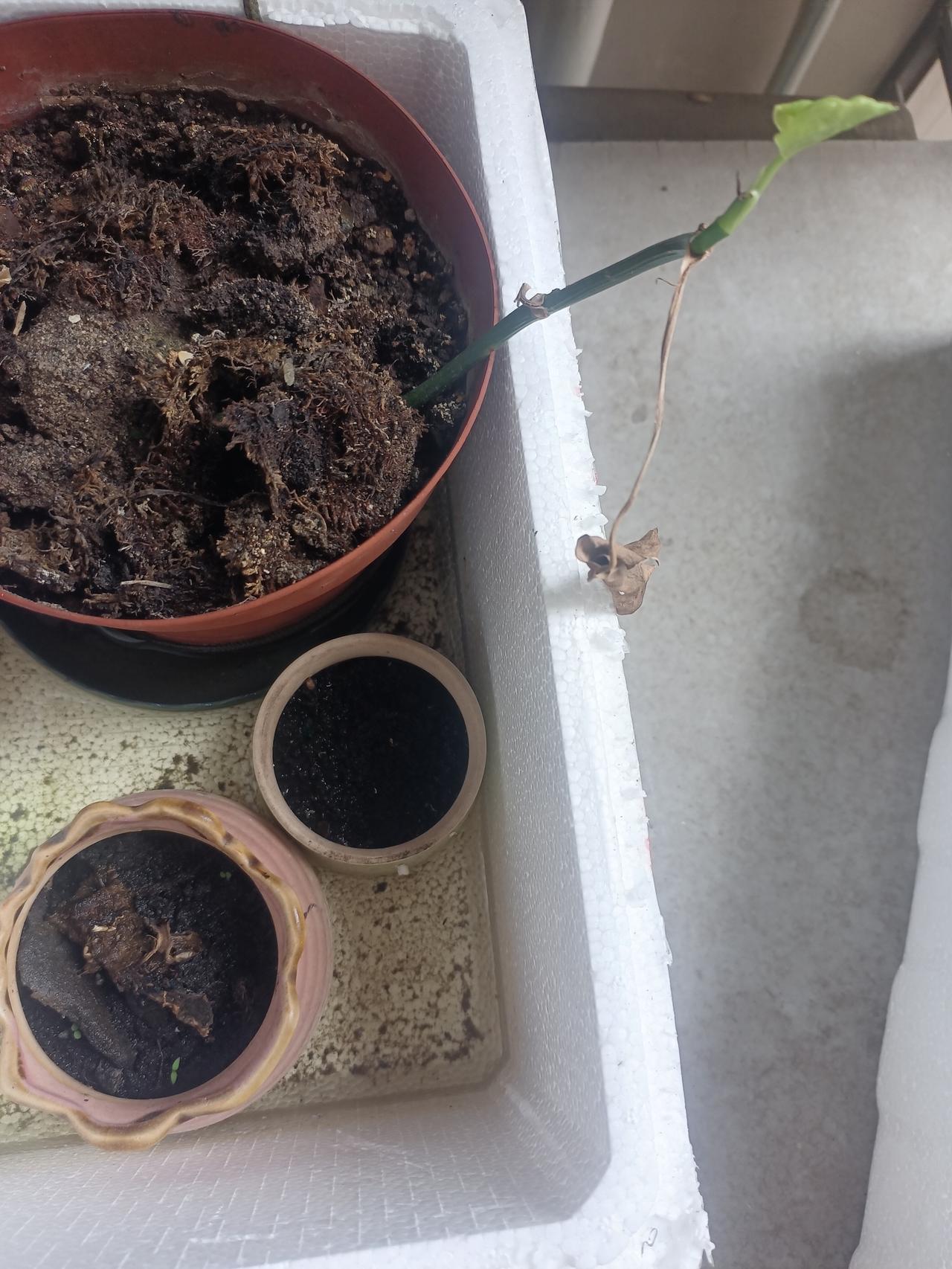 人生最大的财富是健康,您说对吗?对，非常对！我们每个人都是忙忙碌碌又一天，千万别