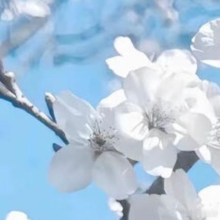 0000手握勇气，踏路而行人生旅途处处藏着未知，前路既有明媚风光，也藏着未知考验
