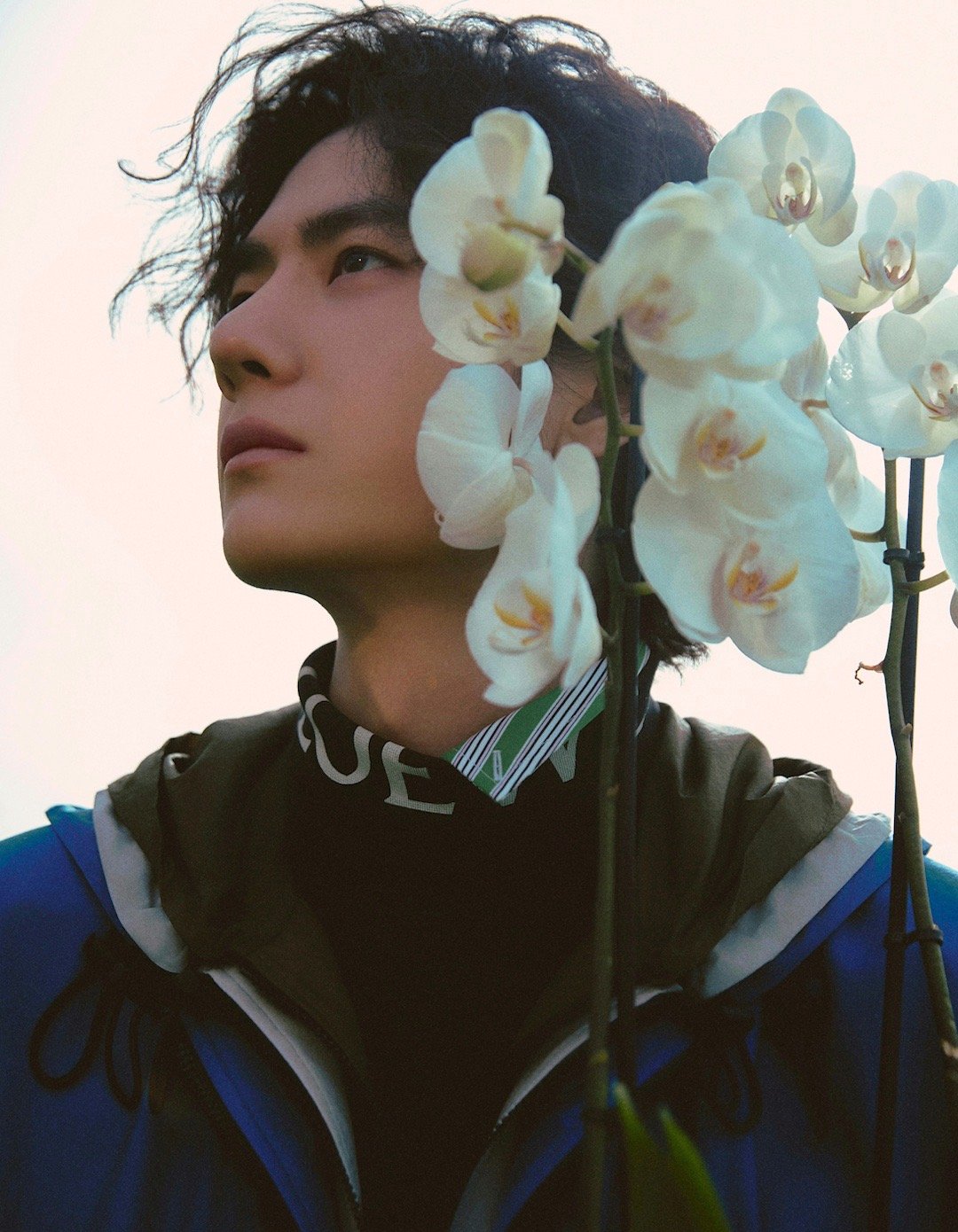 请查收今日份超多汇总😼大家多多去互动哦～宣发网页链接宣发网页链接V中文版网页链