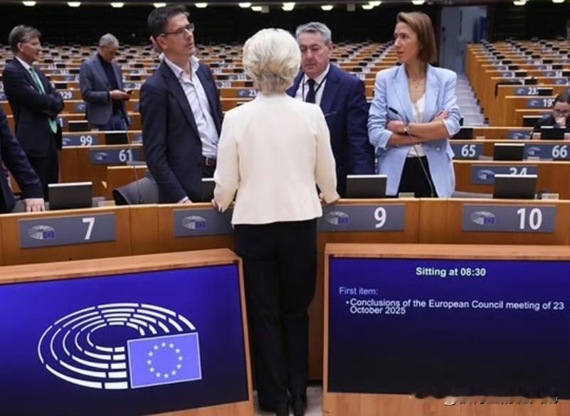 怂了：欧盟要求官员对中国措辞温和，荷兰政府强抢中资半导体企业，使全球汽车供应链遭