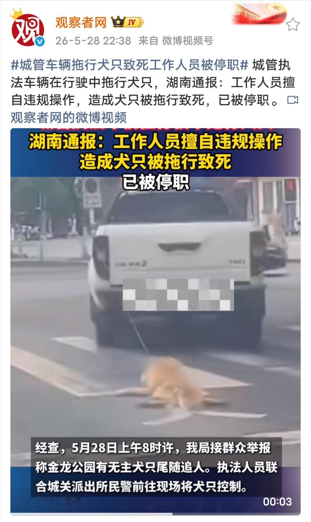 　　同是犬只遭遇，两番场景，映照的是人心与公权力边界的巨大分野。医科大教室里，学