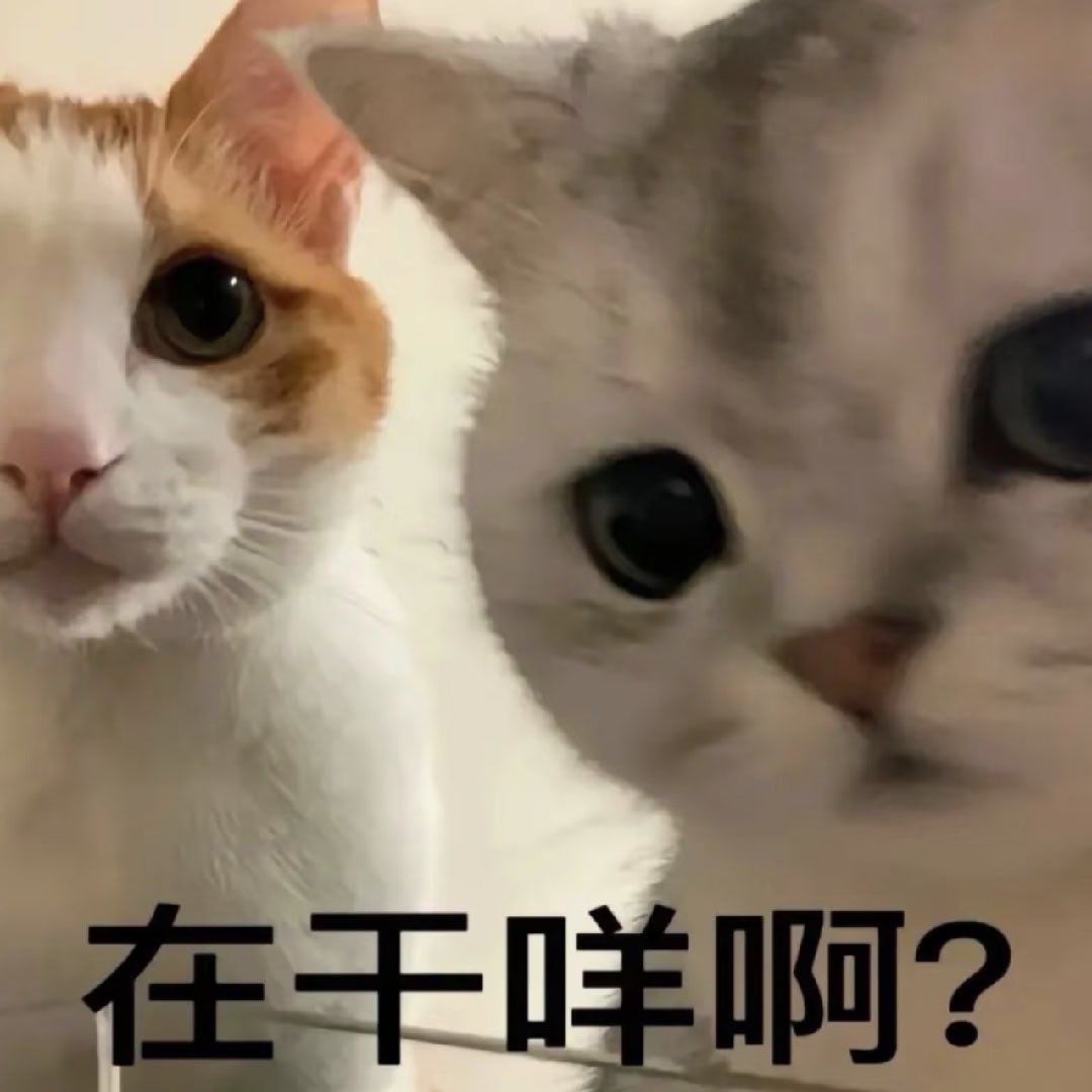 救命，怎么七十分钟了还是0-1 