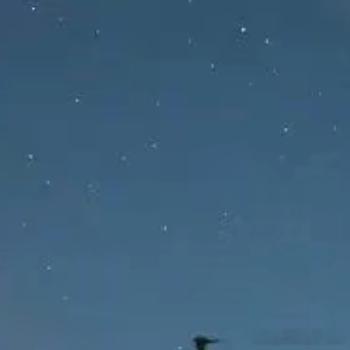 每日一善 生命有限，吃一顿就少一顿，每一餐都不能辜负。 -- 梁实秋 《雅舍谈吃