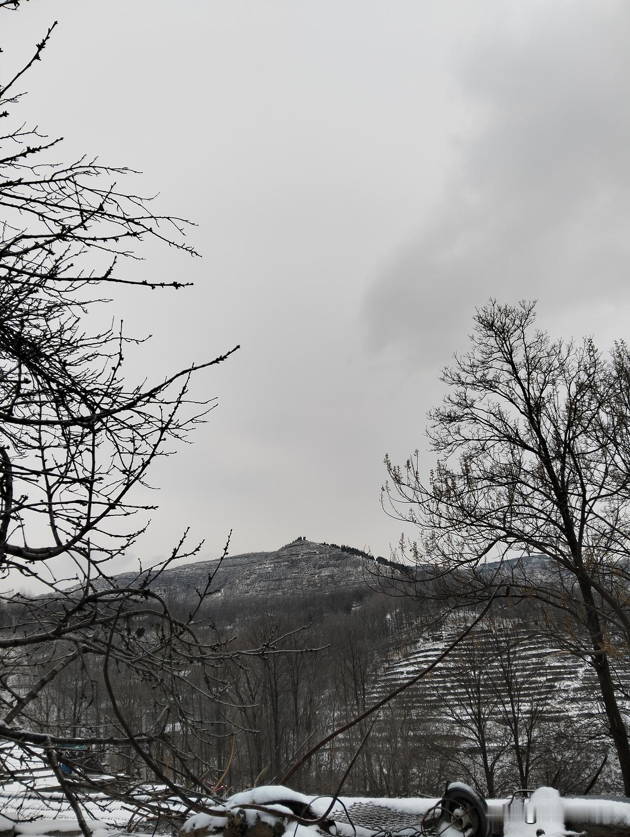 冬日生活打卡季我们这里下雪了！大家注意保暖，照顾好自己，路滑！出行注意安全！