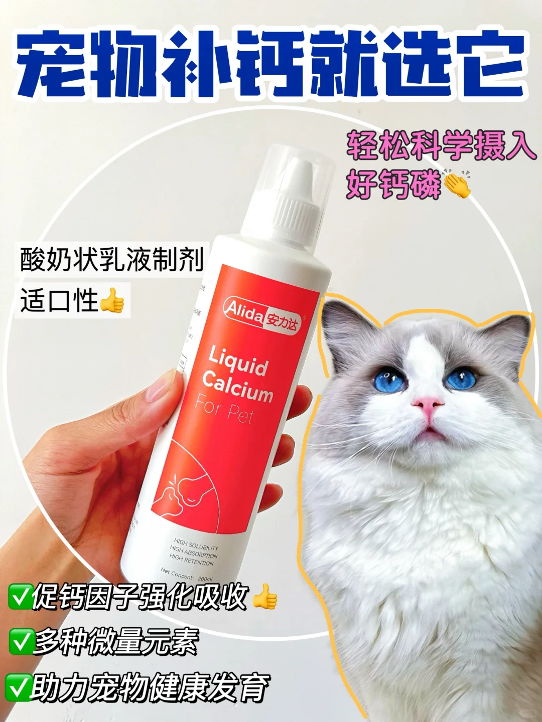 新手养猫｜真的有必要给猫咪补钙吗?