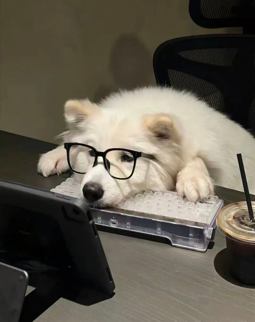 👩🏻‍💻 ᵕ̈  𝑾𝒐𝒓𝒌𝒊𝒏𝒈 ᵈᵃʸ ⁺¹“人之初，性本