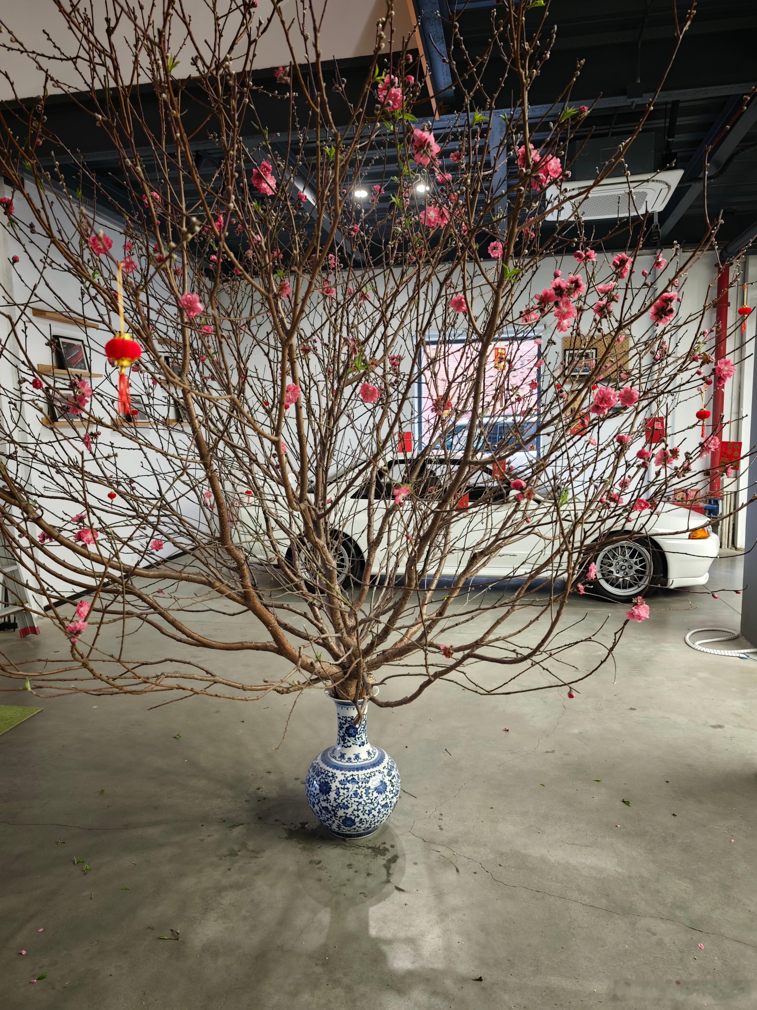 开始有梦想车库的样子了 广州·大家车言论(总部)