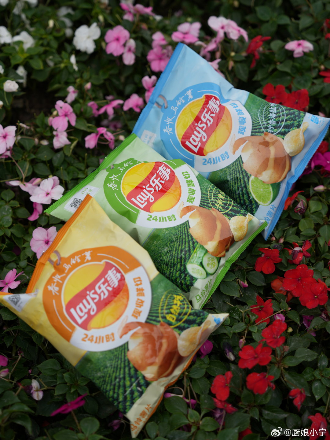 🌼面朝大海，春暖花开！曾经无数次憧憬的美好，就这么实现啦！春天薯片也要吃新鲜的