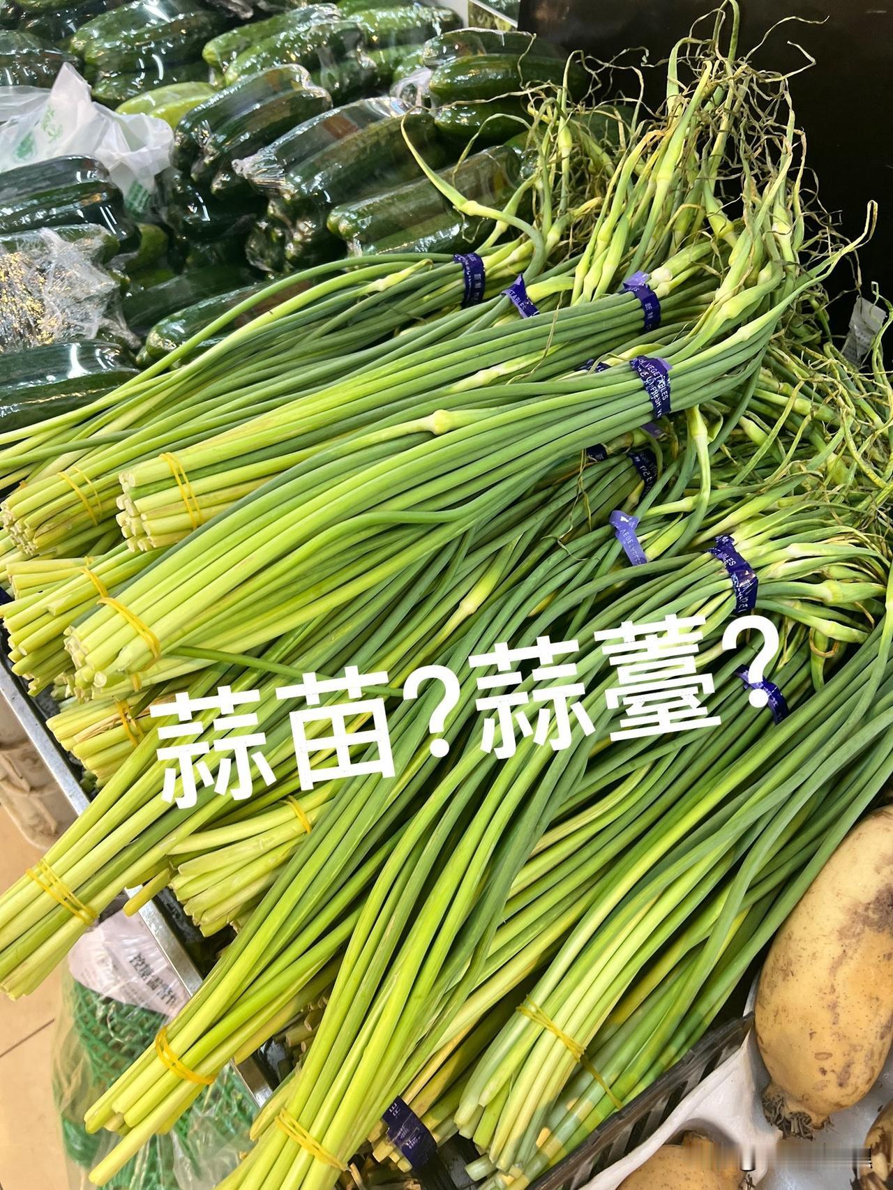 一直搞不明白，北京人为什么把这个东西叫蒜苗？

山东河南一带，到底是拥有丰厚文化