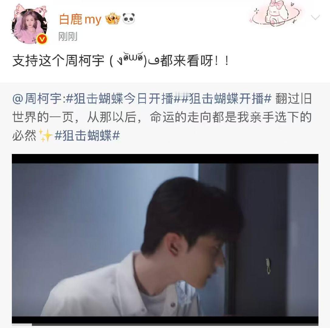 白鹿为周柯宇狙击蝴蝶打call白鹿支持周柯宇书意来为易扬打call辣 