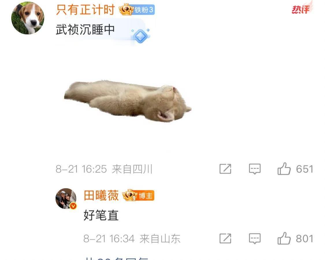 武祯美图田曦薇晒小伙伴发的武祯 田曦薇连聊天记录都分享，这接地气的样子好圈粉！群