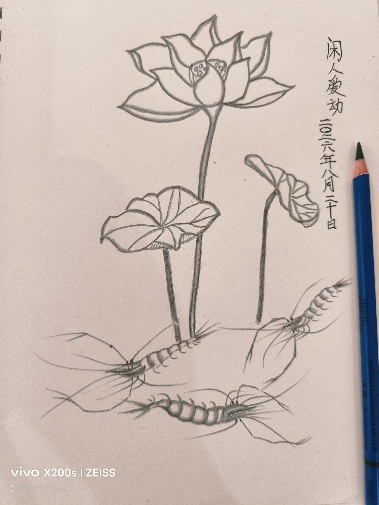 铅笔绘画也能上瘾
        因今年的夏天特别炎热，除早上出门买菜外，多数时