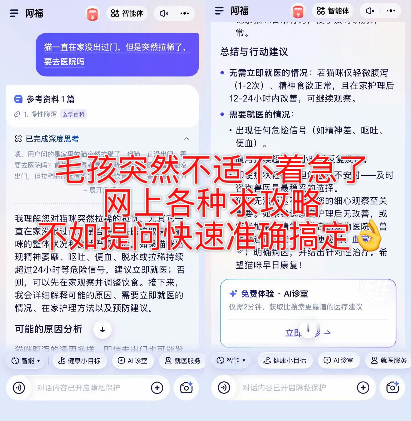 以前不管家里毛孩子出啥问题，我都得去百度上瞎搜，要么就得提前花钱挂主任号才能咨询