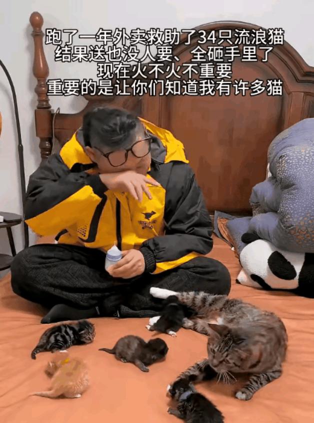 杭州，一名外卖小哥跑了一年外卖，送餐间隙沿路救下了34只流浪猫。本想治好后送养，