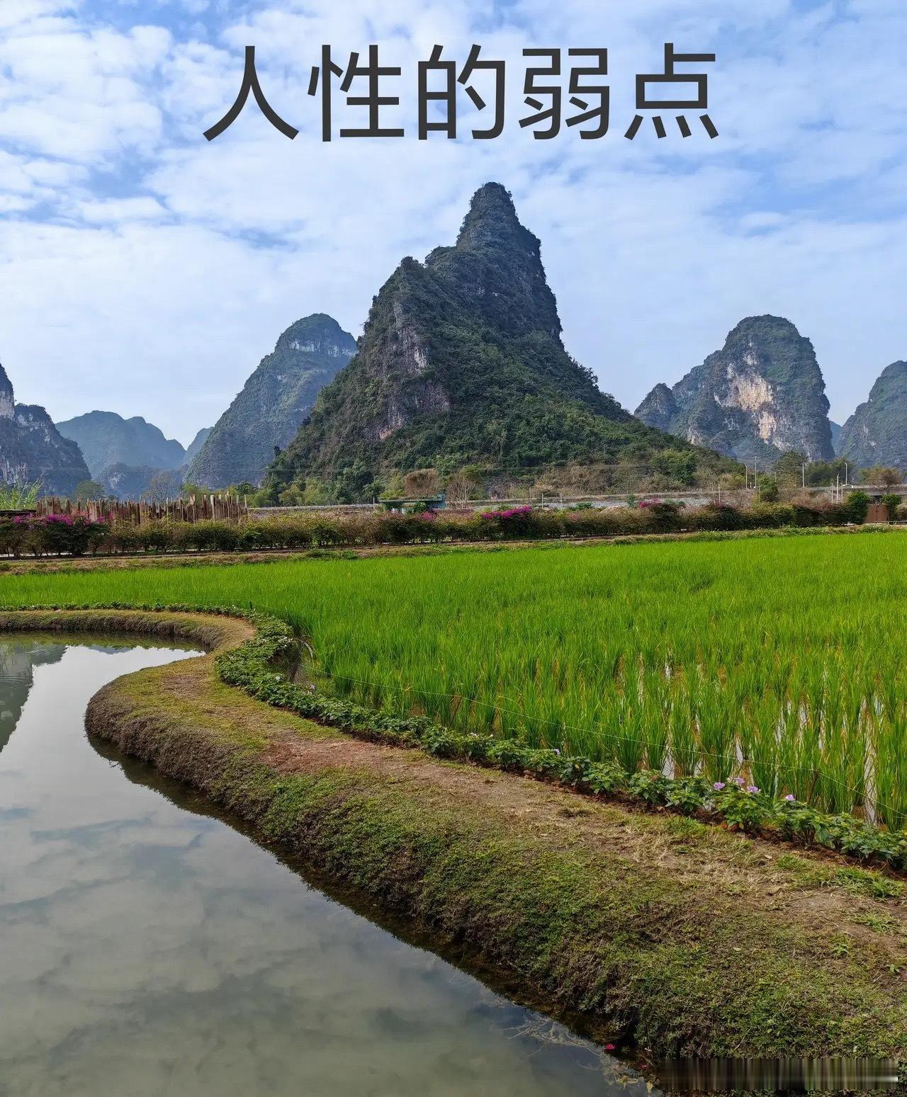 每年股市都有一两次大跌，跌到你怀疑人生，一些股票价格很便宜，可惜这时候大部分股民