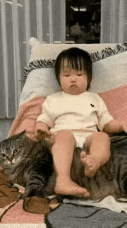 孩子如此折磨这只猫，猫咪忍无可忍，教训了这个孩子，但是点到为止，很有分寸，别看孩