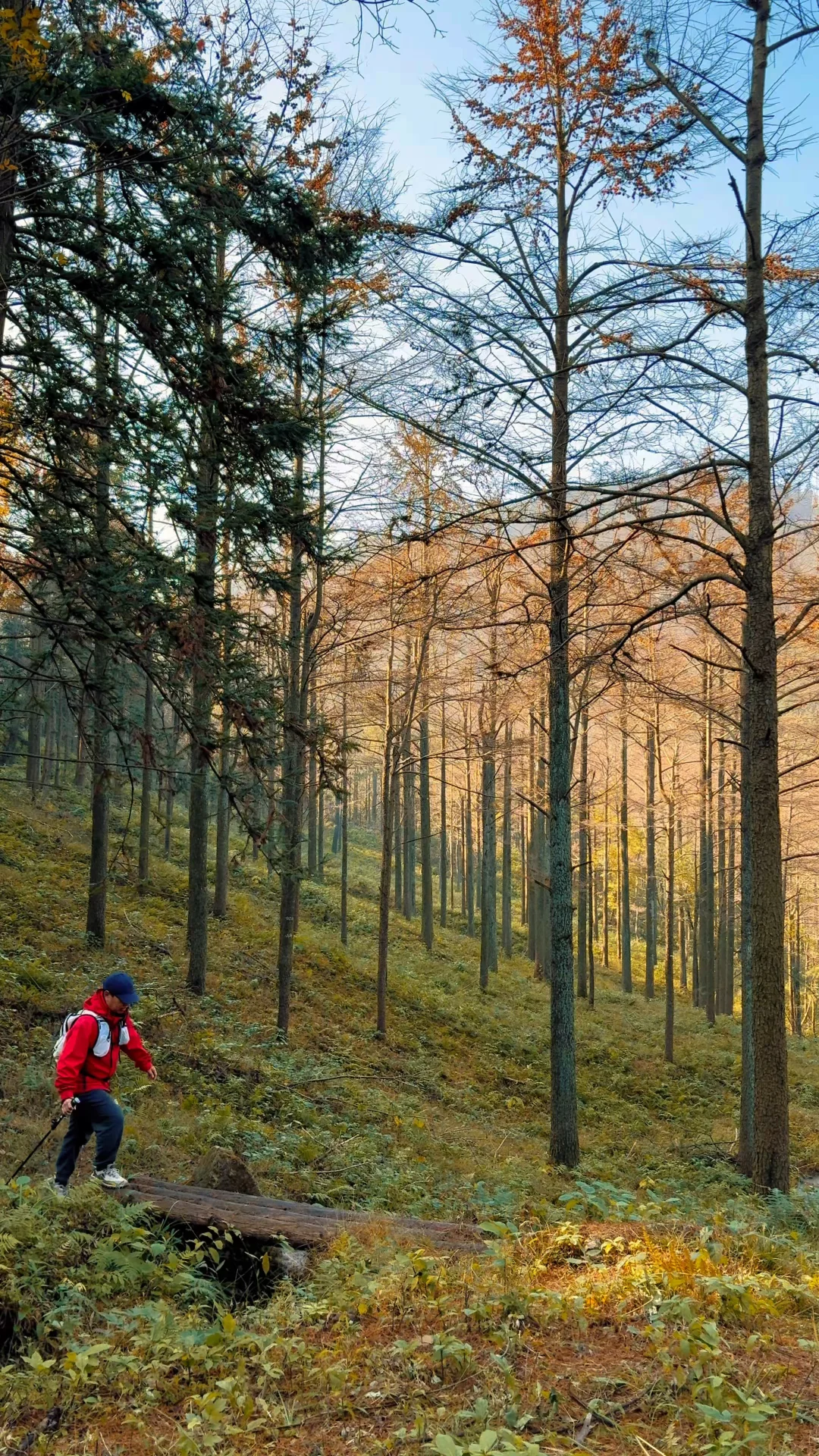 四明山十字裤秋景
