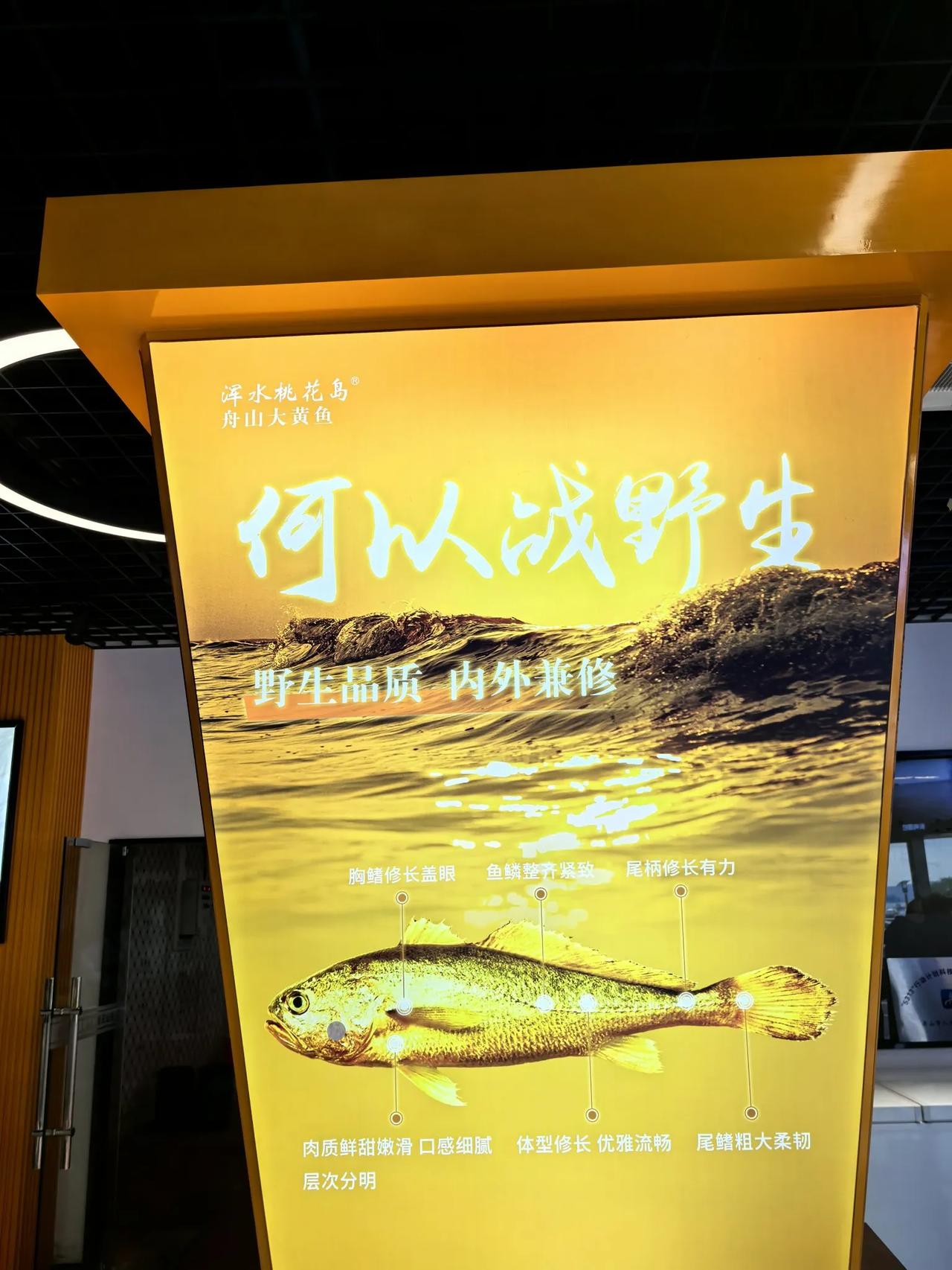 何以战野生～