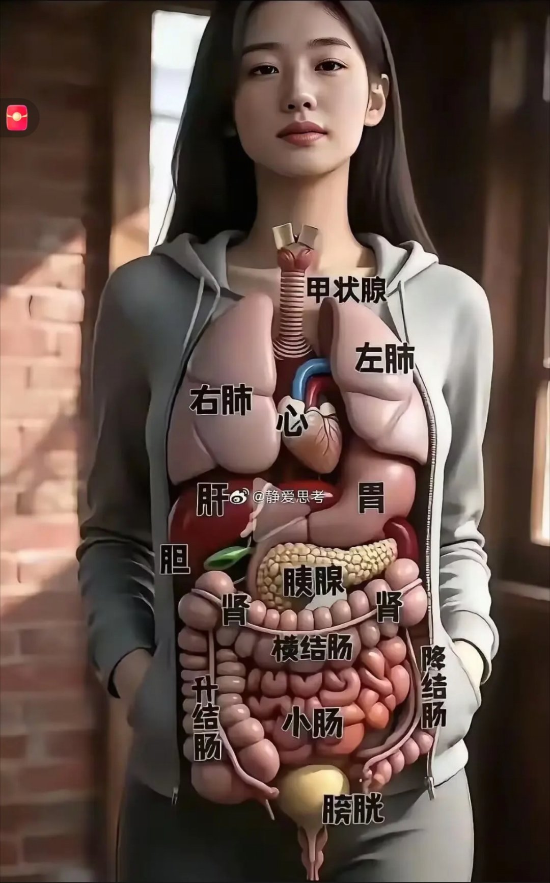 裸了行吗？ 