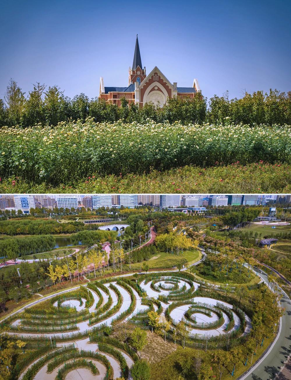 公园的这种乱像，真该管管了！
今天去公园遛娃，下着小雨，本想找个安静的凉亭让娃跳