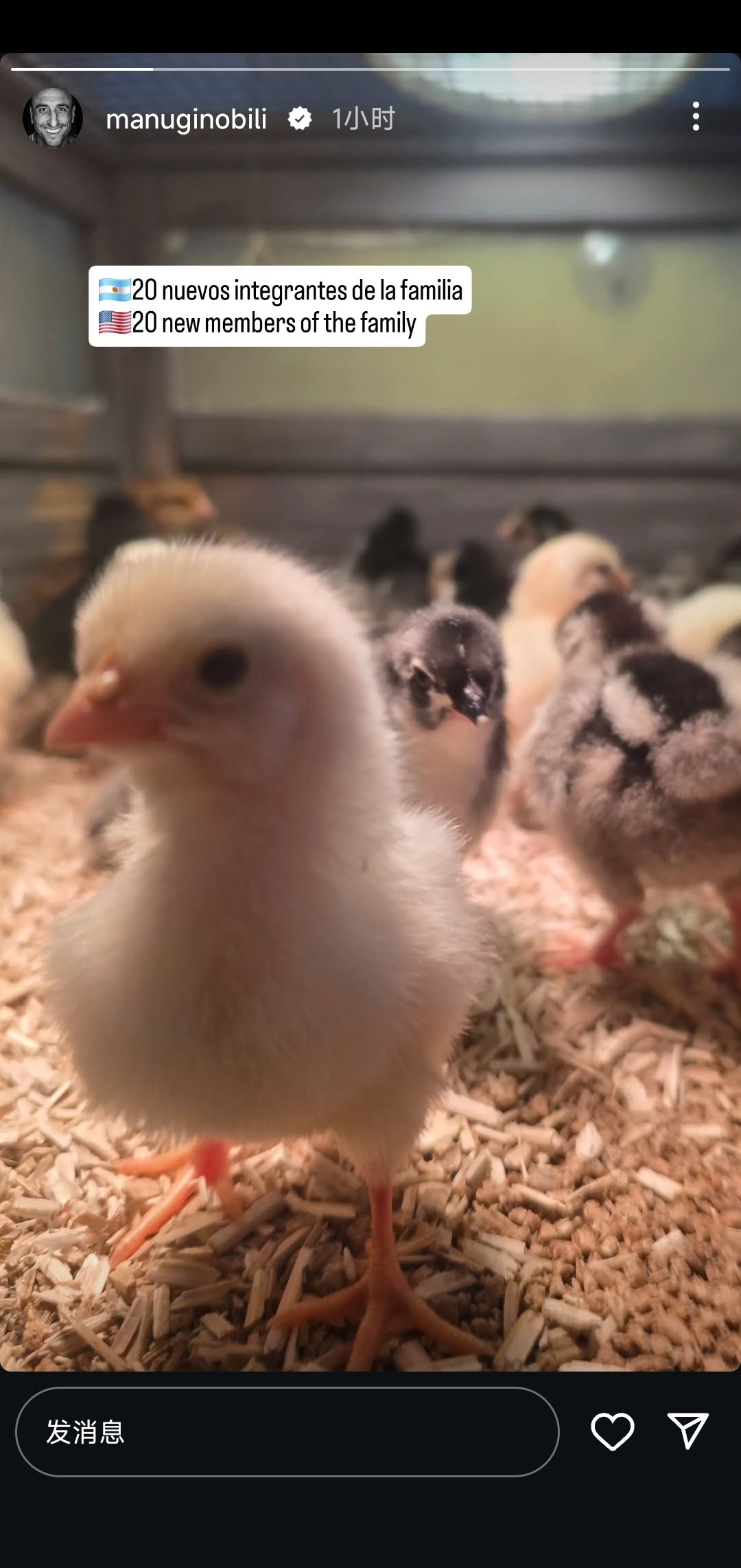 哈哈哈吉诺比利家里的20位新成员👀 