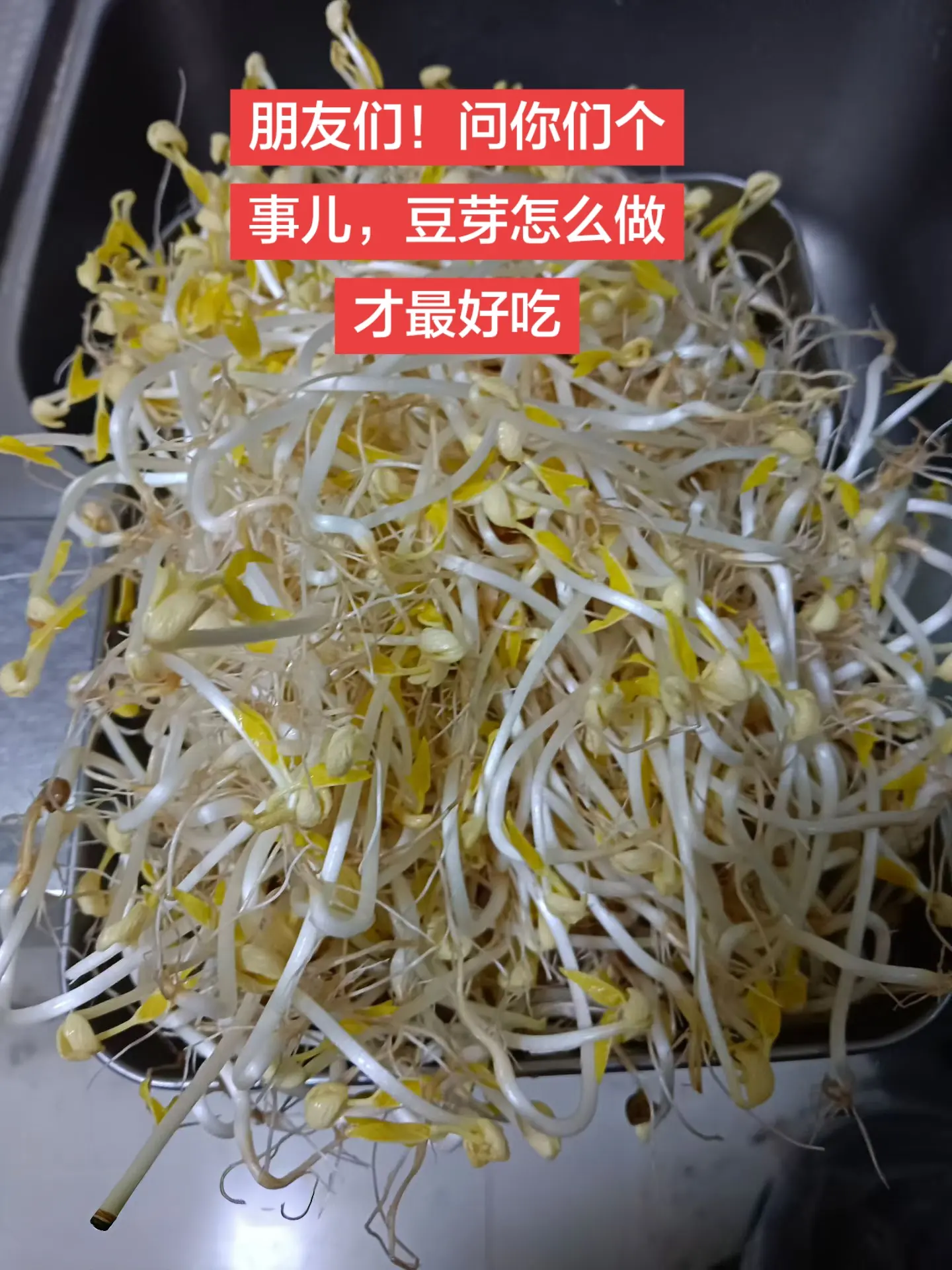 朋友们！问你们个事，豆芽怎么做才最好吃😋