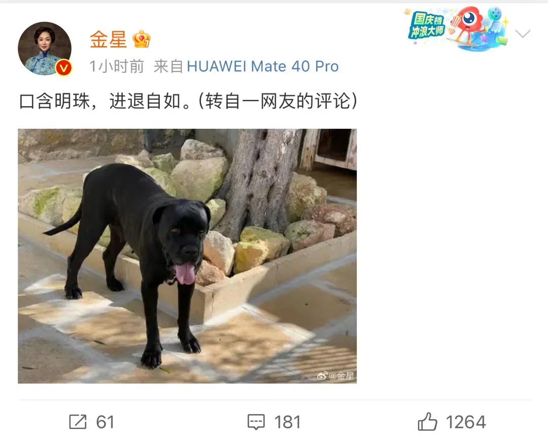 网友是懂内涵的，但很多名人都是看破不说破，也就只有一向犀利的金星敢转发[捂脸]