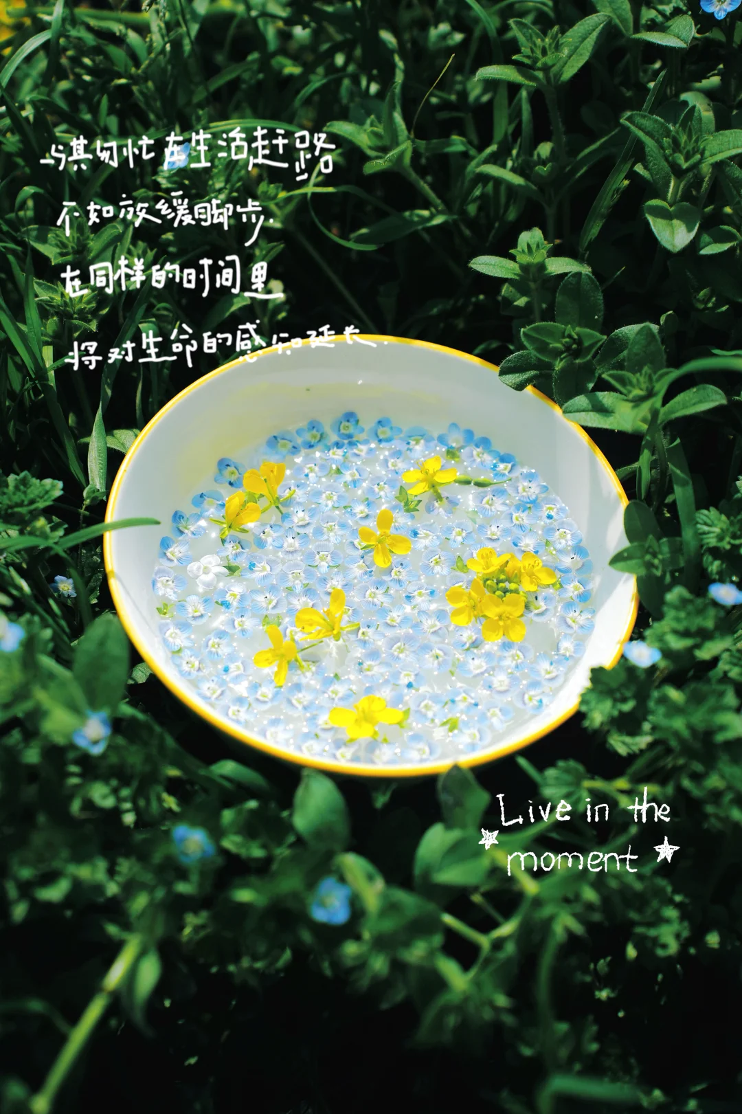 节日快乐 不止今天♥️