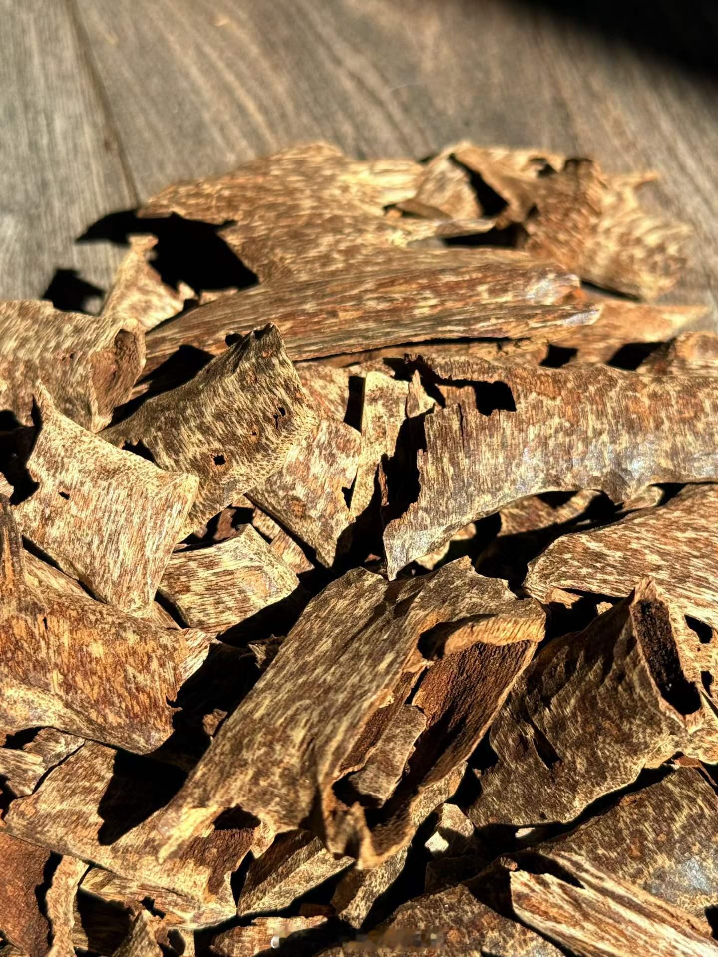 【线香原料科普】老挝冷眼沉香老挝冷眼沉香，树种为厚叶沉香（Aquilaria c