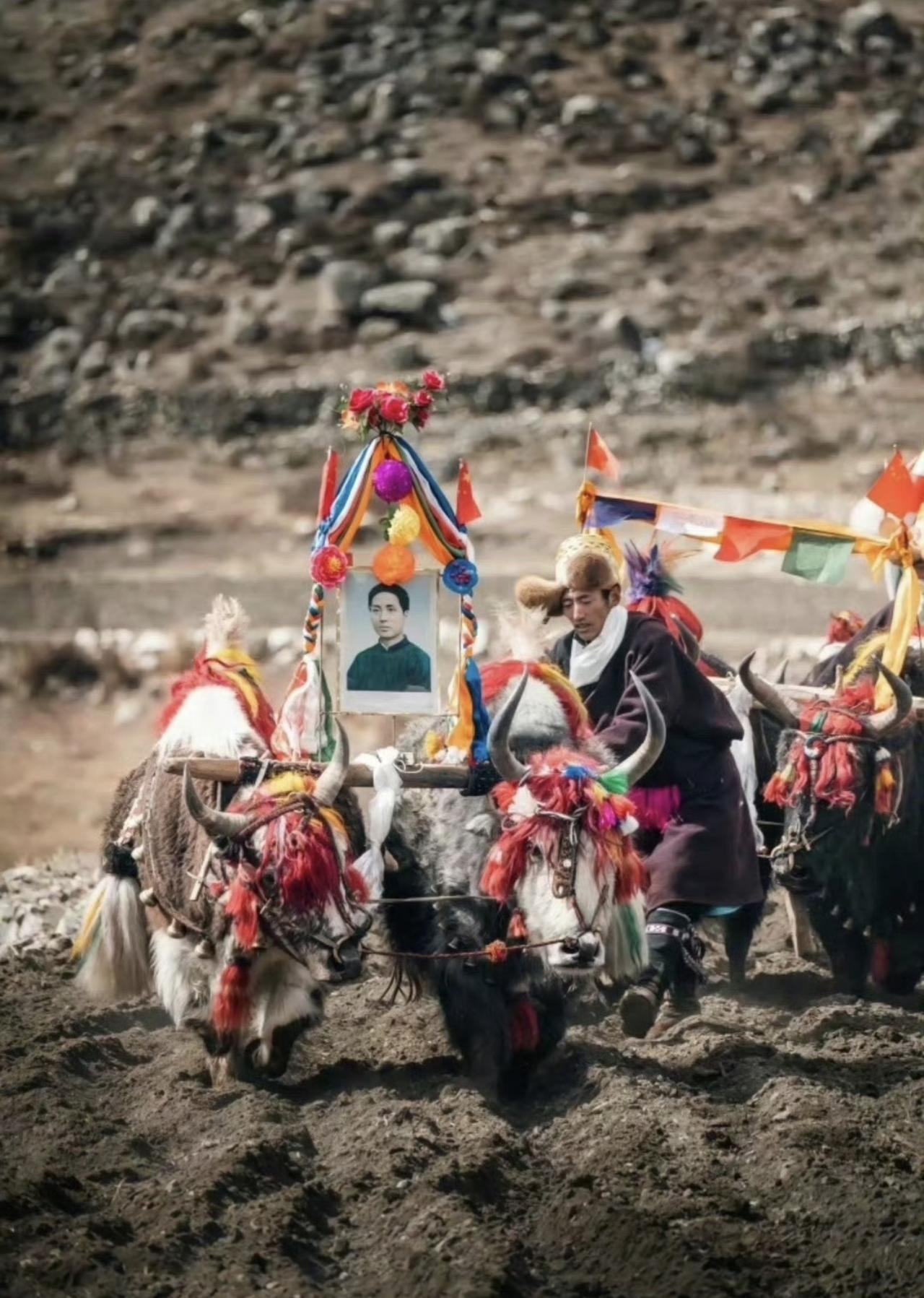 原谅我的孤陋寡闻，原来藏区现在还保留春耕的仪式！这属于是对自然敬畏，对丰收的期盼