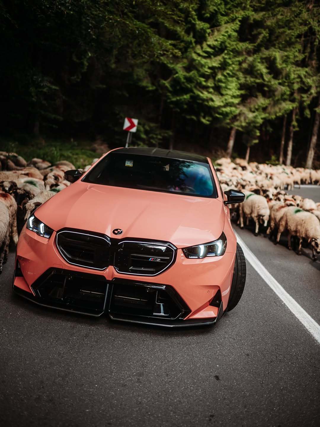 改车吧[超话] BMW M5 G90 ​​​