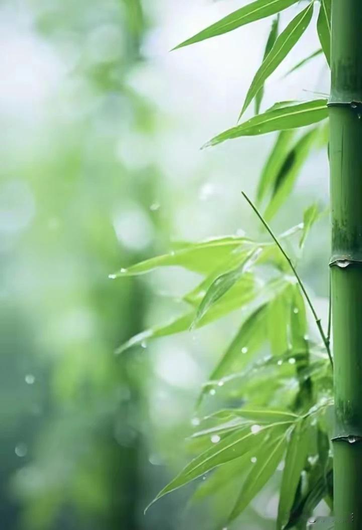 ​上联：红玫一朵风情俏
下联：绿叶几片不争春
此下联对得巧妙，以绿叶之低调质朴，