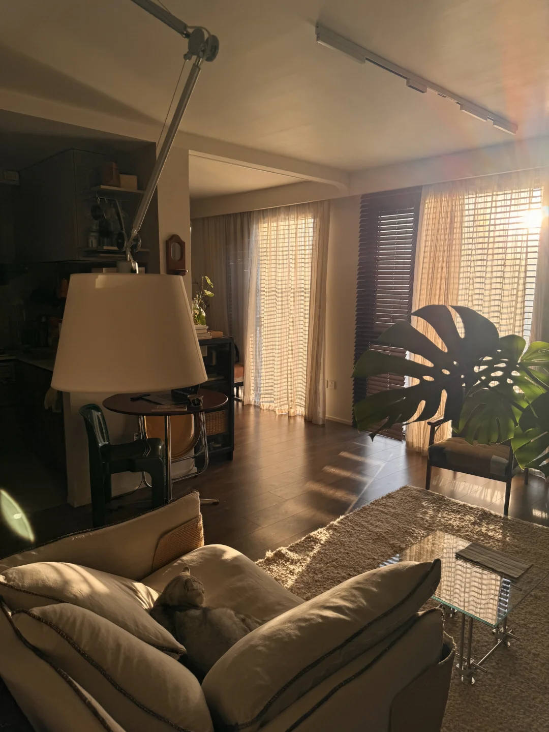 56平一人居｜春雨绵绵 想念晴天