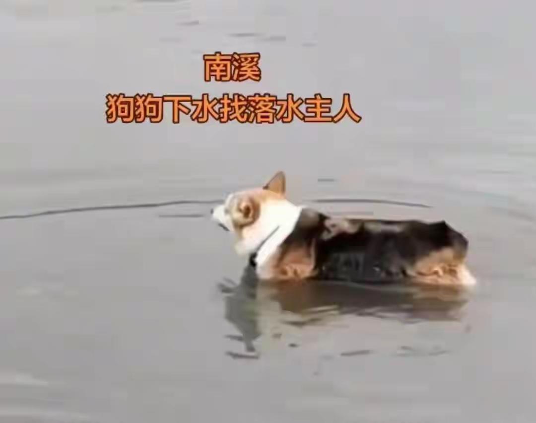 有感而发，人的一生，性格决定命运我信了！
日前，湖南四男子钓鱼河水猛涨，两男子果