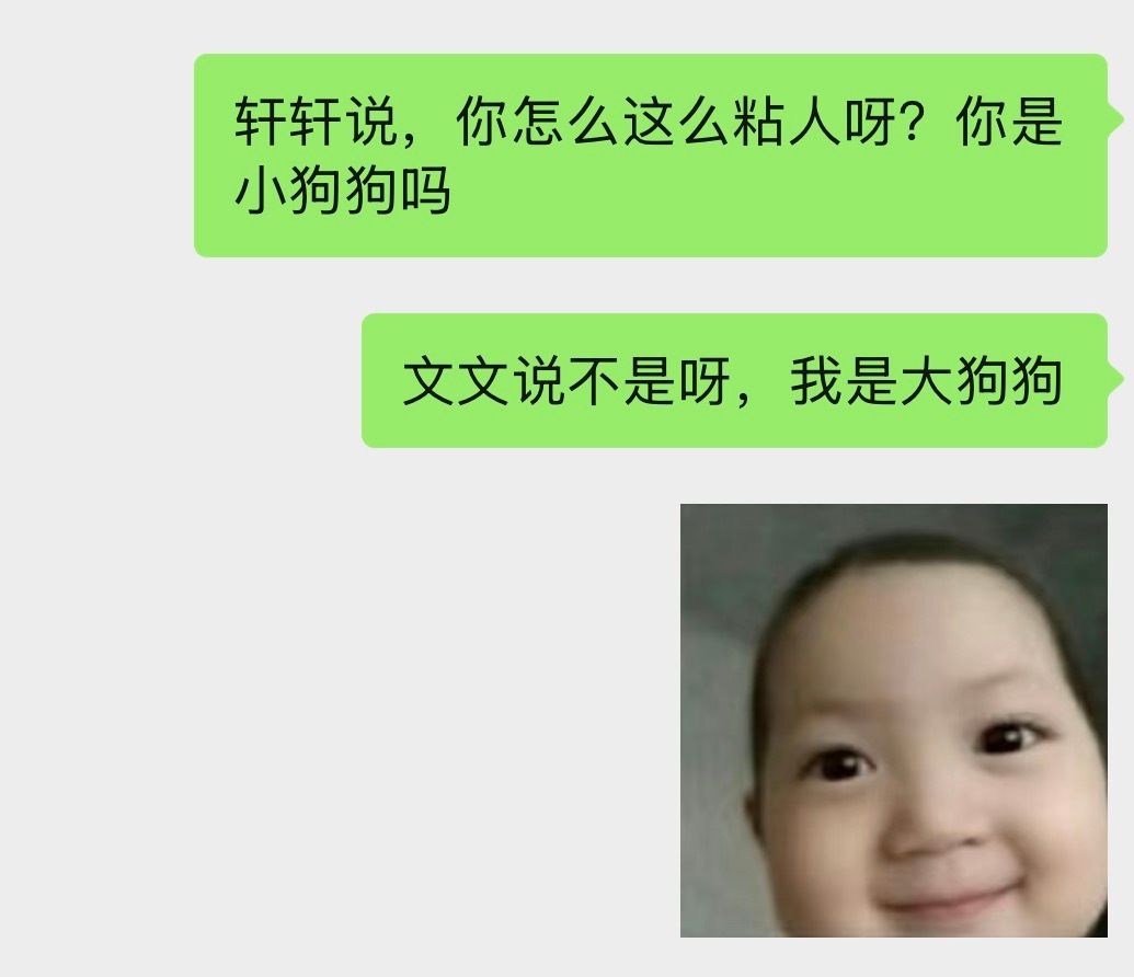 沉迷哥狗无法自拔… 