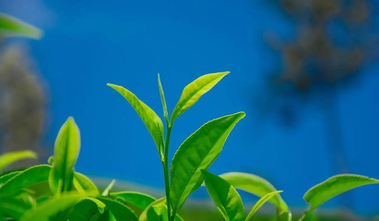 我老公那可真是绝了。
为了让我养好身子，人家直接禁欲，不碰我也不让我碰，搞得跟合