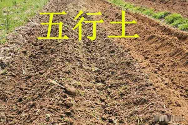 五行土的含义
       五行中的土含义丰富。土代表承载与包容，如大地母亲孕育