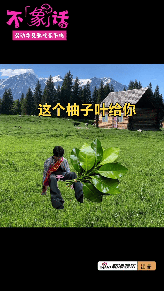 张峻豪开扭扭车下班张峻豪也逐玉刮痧了 新浪娱乐《娱情实验室》抽象系列视频「不“象