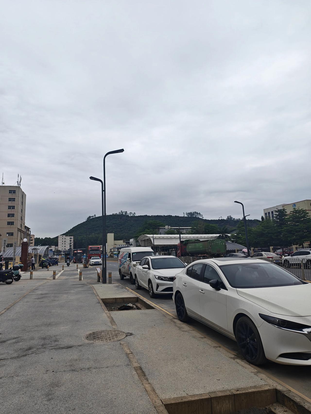 晒出你的本地生活在深圳生活多年，发现不管是城中心还是郊区，随处都可以发现有很多的