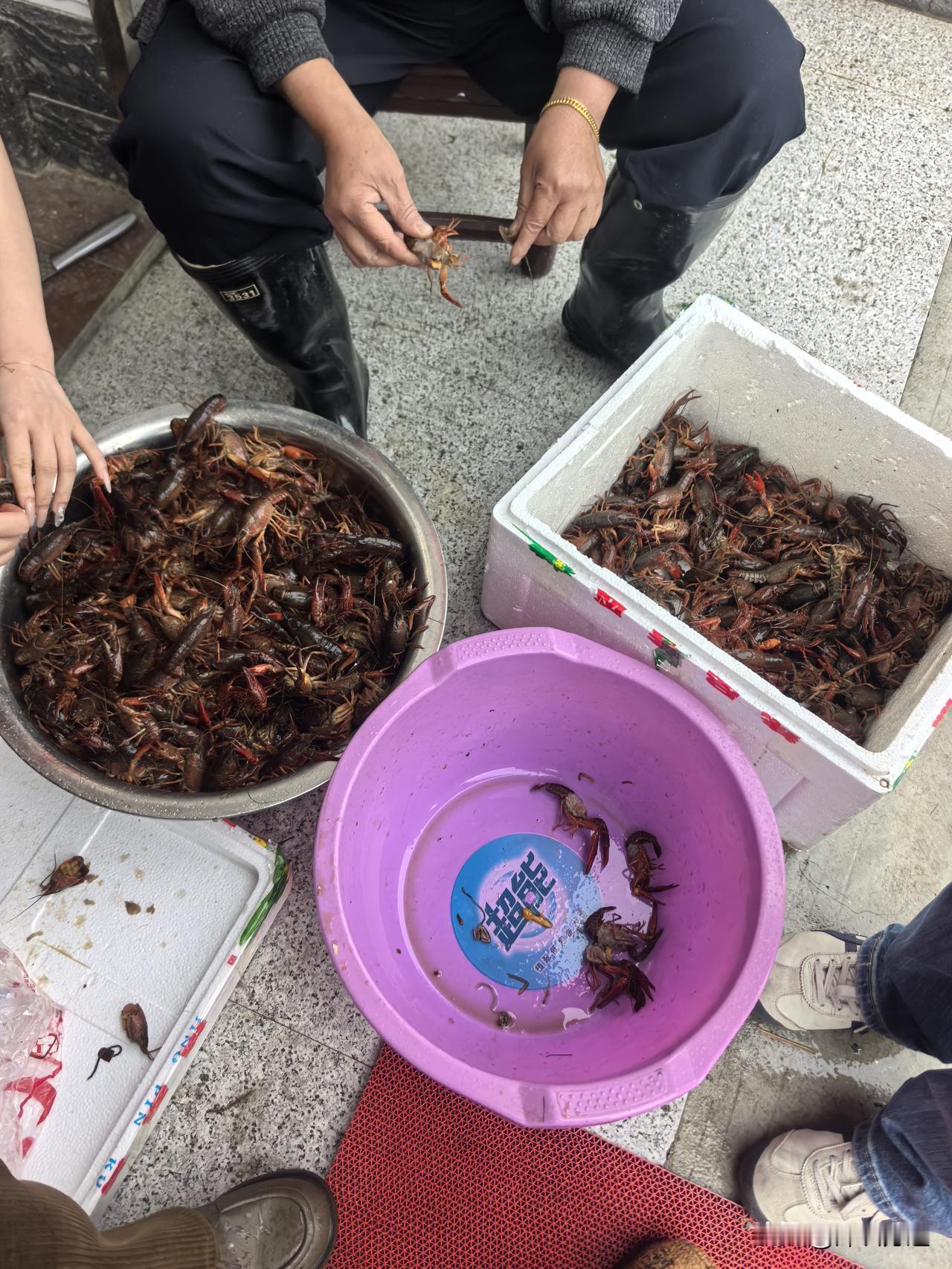 闹哪样？！周鸿祎给每个员工发1亿Token，这是在赌"人均一个AI团队"[wha