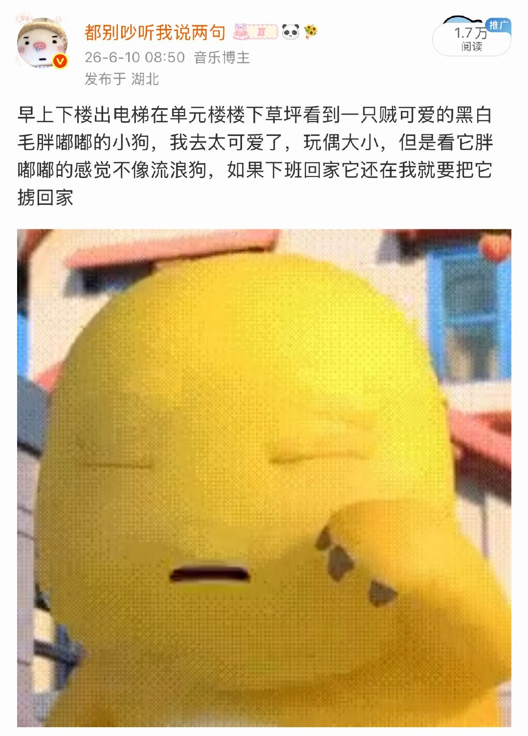 好伤心。。下班回家发现它是有主人的。。从此我成了没有小狗的流浪人