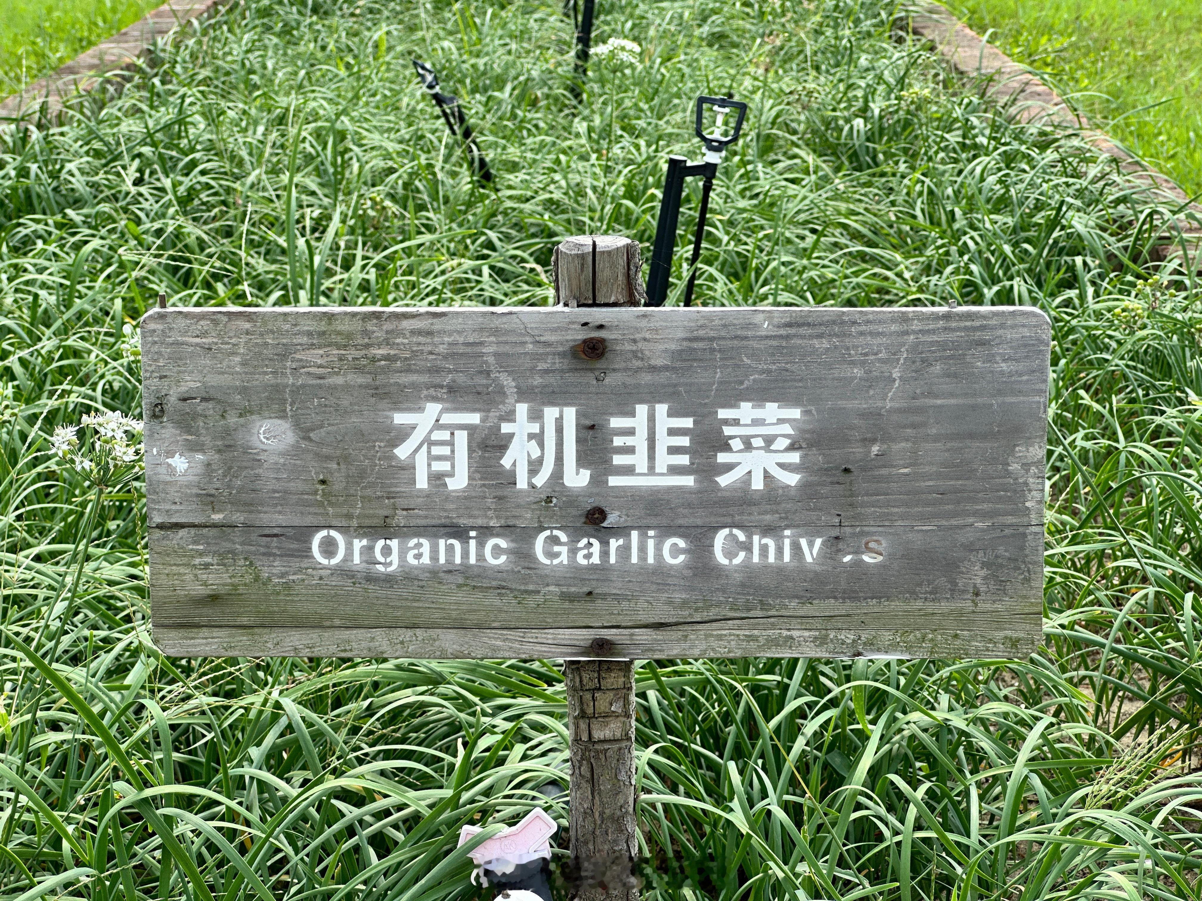 有想对号入座的可以点个赞[挤眼]#好了好了知道你在过国庆了# ​​​