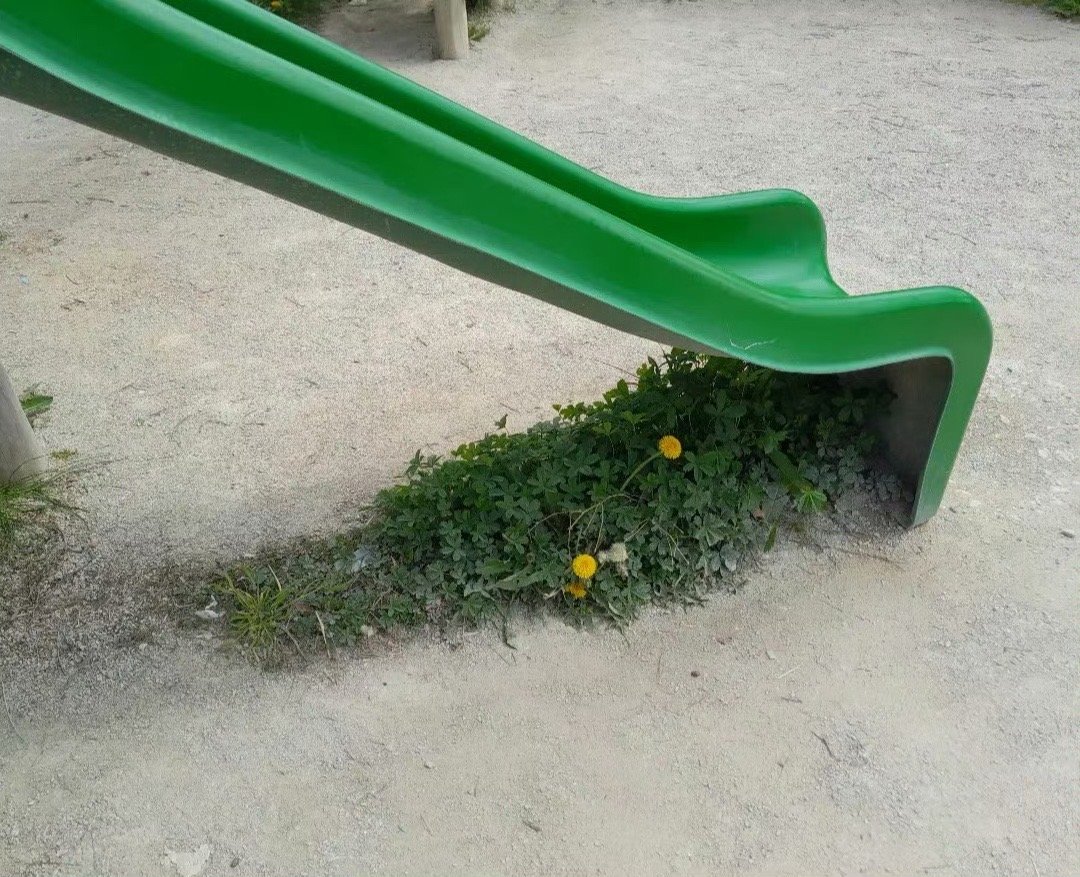 🌱 ​​​